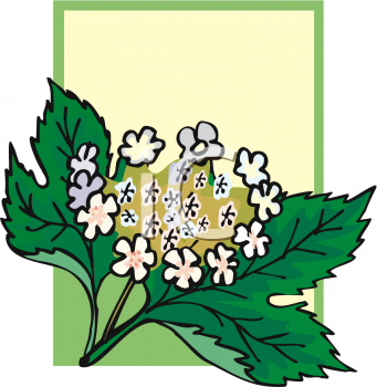 Flower Clip Art Image