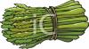 asparagus_012000076_tnb.png 74.4K